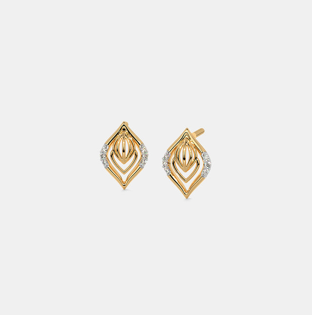 Modern Luxury Earrings
