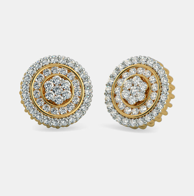 Everyday Elegance Earrings
