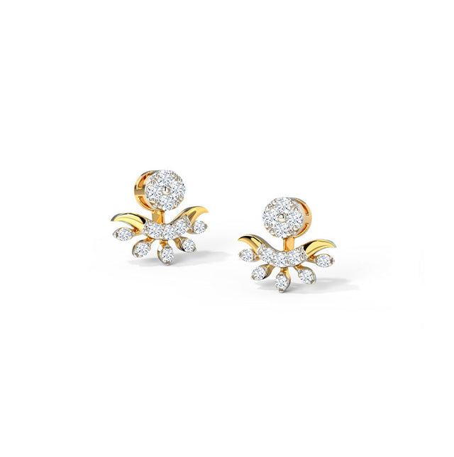 Intricate Design Earrings