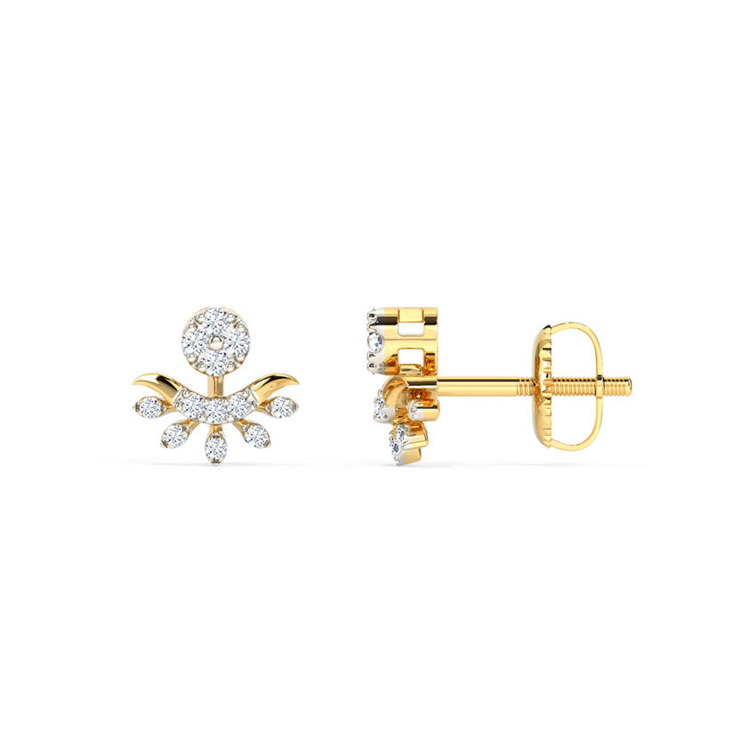 Intricate Design Earrings