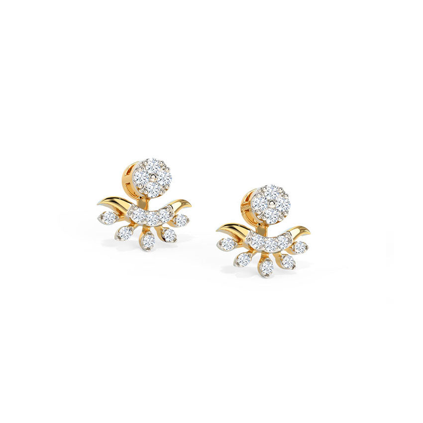 Intricate Design Earrings