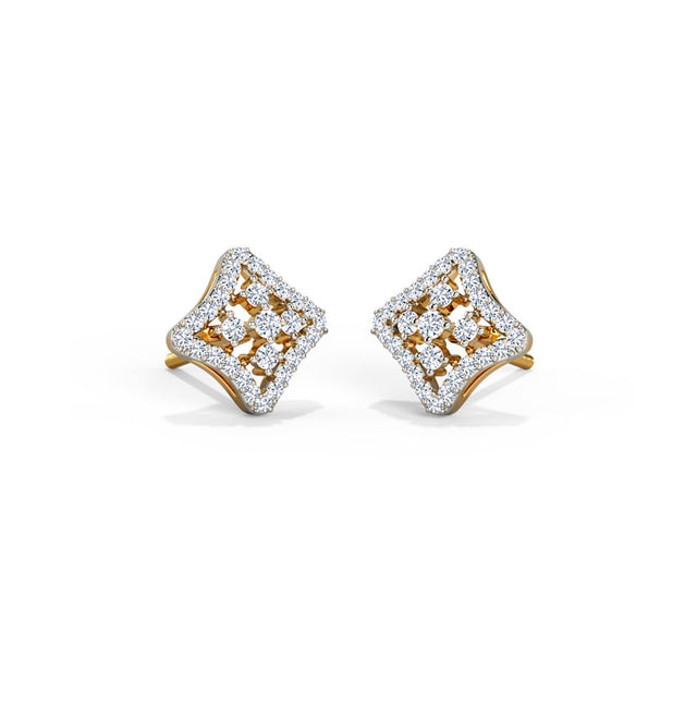 Luxe and Lovely Earrings