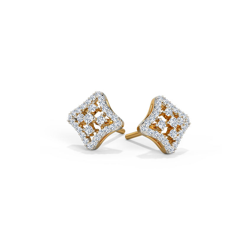 Luxe and Lovely Earrings