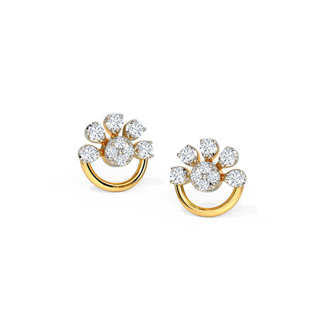 Elevated Style Earrings