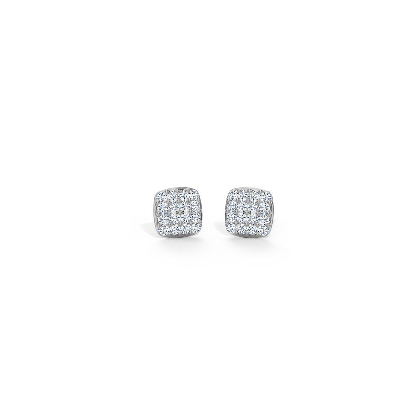 Captivating Style Earrings