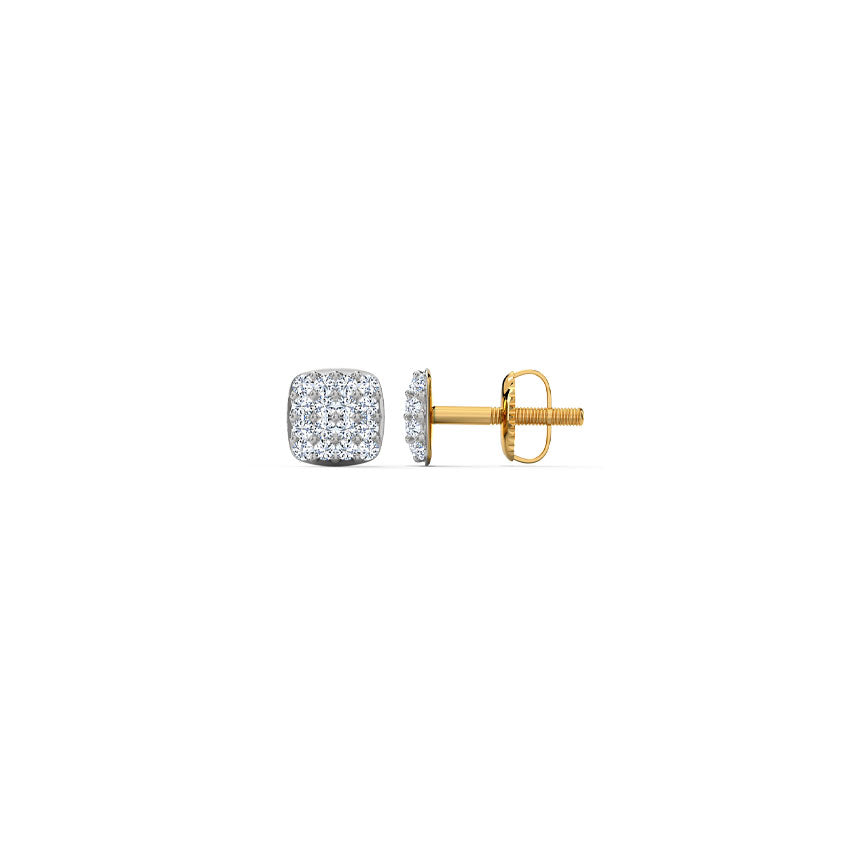 Captivating Style Earrings