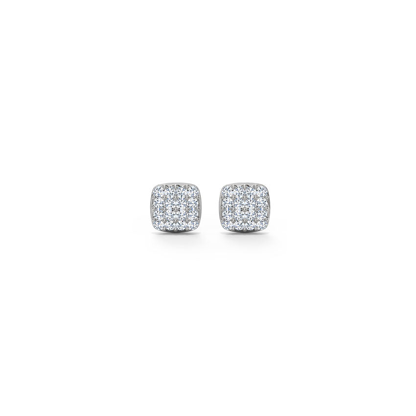 Captivating Style Earrings